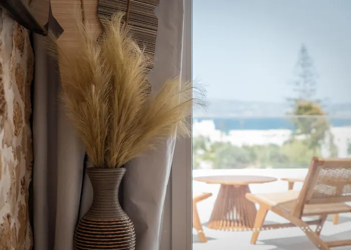 Vino Luxury 2 Vakantiehuis Agia Anna (Naxos)