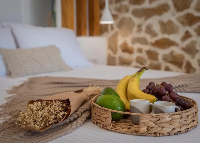 Vino Luxury 2 Agia Anna (Naxos)