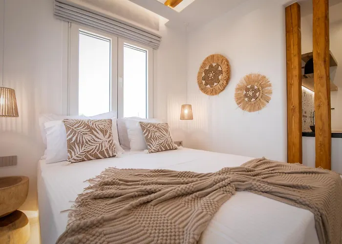 Vino Luxury 2 Vakantiehuis Agia Anna (Naxos)
