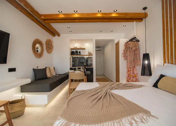 Vino Luxury 2 Vakantiehuis Agia Anna (Naxos)