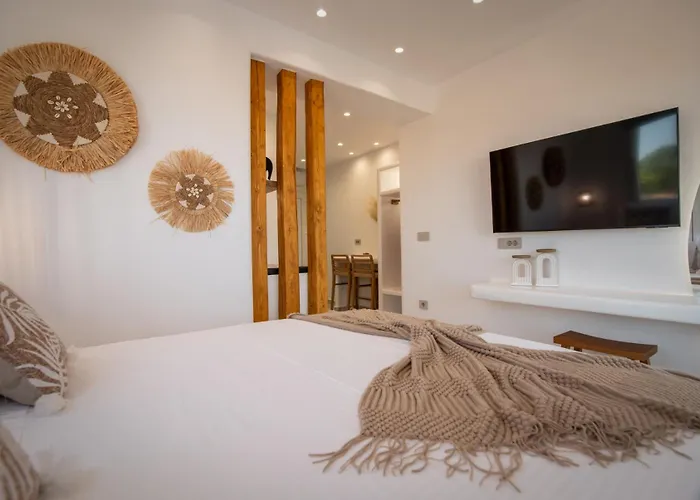 Vakantiehuis Vino Luxury 2 Agia Anna (Naxos)