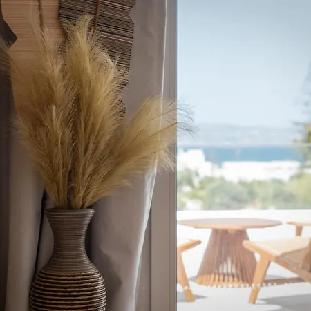 Vino Luxury 2 Holiday home Agia Anna (Naxos)
